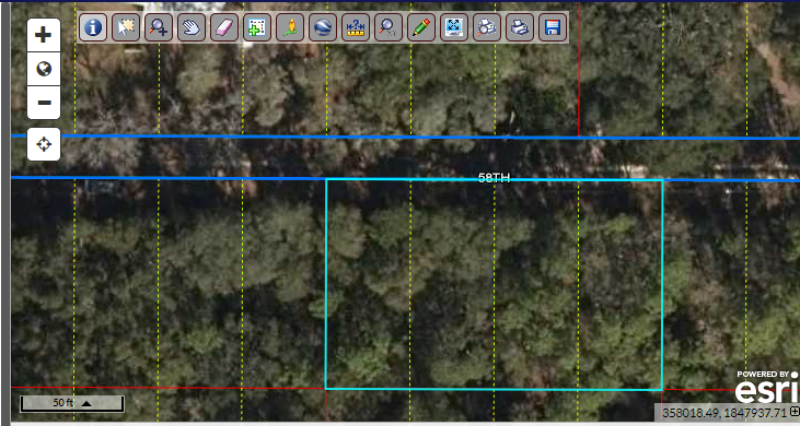 160′ x 100′ feet – Florida land for sale by owner – Build your Dream Home here!  7 miles to Suwannee River boat ramp (Fowler’s Bluff)